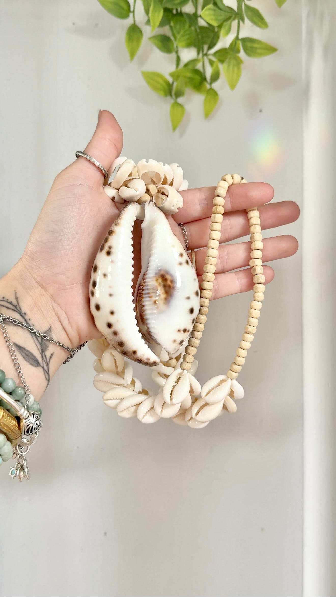 Siren Secrets • Amulet