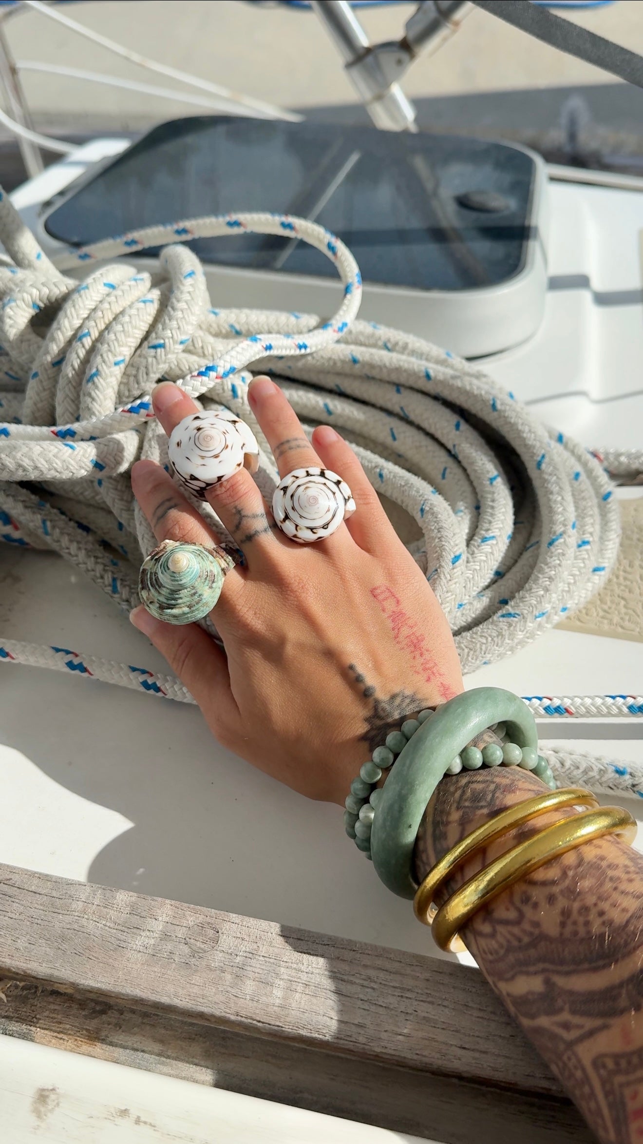 Mangrove Mama • Shell Ring