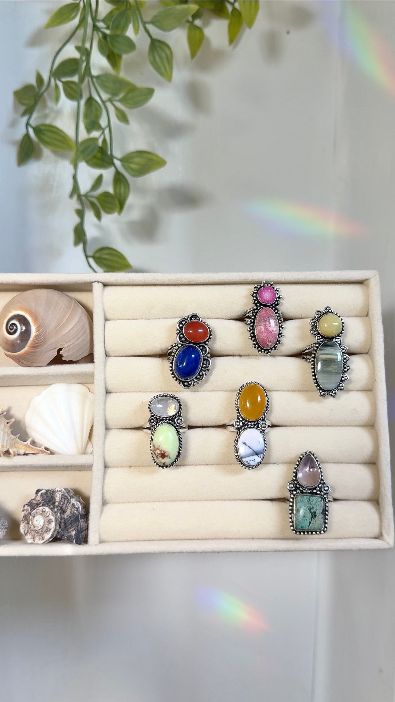 Siren • Droplet Rings