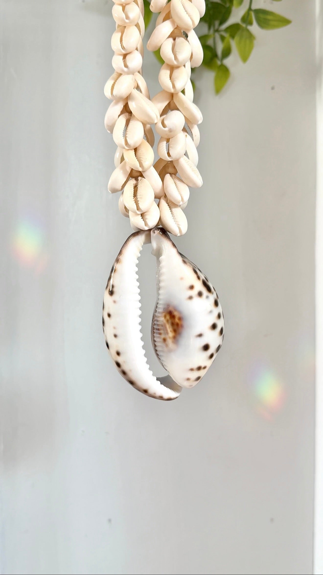 Siren Secrets • Amulet