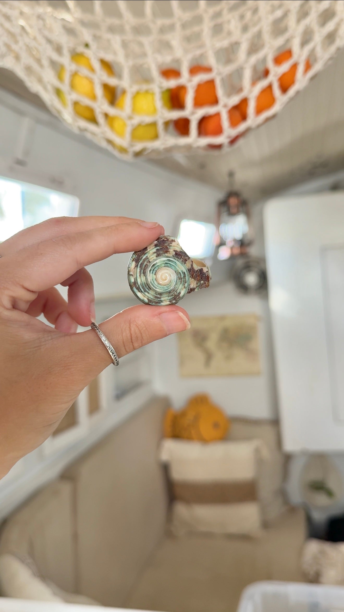 Mangrove Mermaid • Green Shell Ring