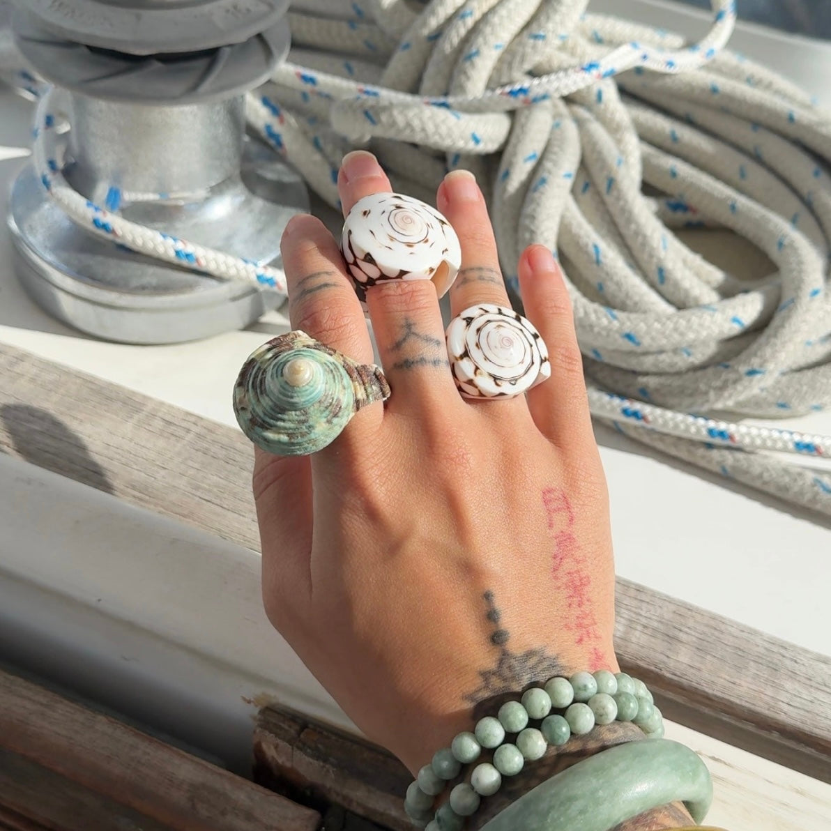 Mangrove Mama • Shell Ring