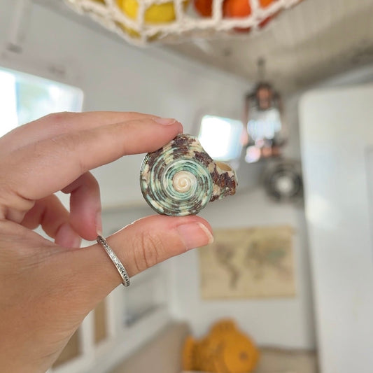 Mangrove Mermaid • Green Shell Ring